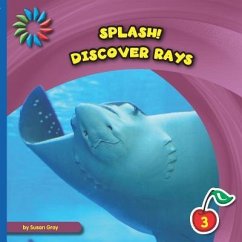 Discover Rays - Gray, Susan H