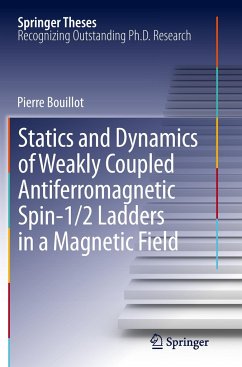 Statics and Dynamics of Weakly Coupled Antiferromagnetic Spin-1/2 Ladders in a Magnetic Field - Bouillot, Pierre