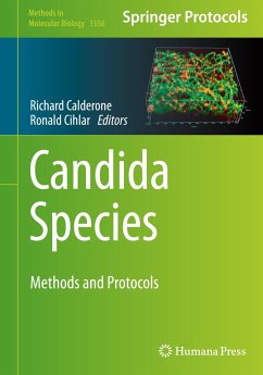 Candida Species