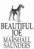 Beautiful Joe (eBook, ePUB) Beautiful Joe (eBook, ePUB)