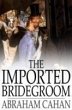 Imported Bridegroom (eBook, PDF) - Bild 1