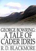 George Bowring: A Tale of Cader Idris (eBook, ePUB)
