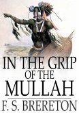 In the Grip of the Mullah (eBook, ePUB)
