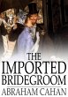 Imported Bridegroom (eBook, ePUB) - Bild 1