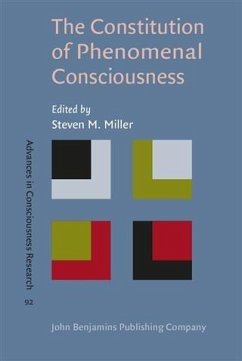 Cover Constitution of Phenomenal Consciousness (eBook, PDF)