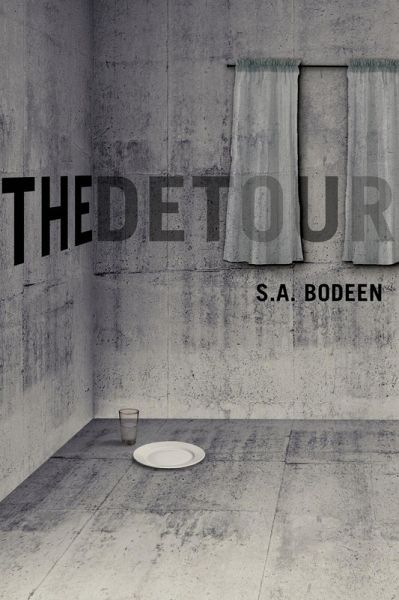 The Detour (eBook, ePUB)