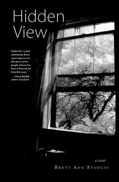 Hidden View - Stanciu, Brett Ann