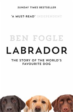 Labrador - Fogle, Ben