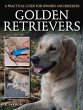 Golden Retrievers - Bild 1