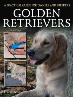 Golden Retrievers - Rose, Elana