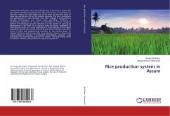 Rice production system in Assam