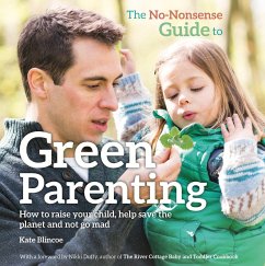 The No-Nonsense Guide to Green Parenting - Blincoe, Kate