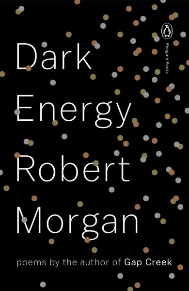 Dark Energy (eBook, ePUB)