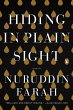 Hiding in Plain Sight (eBook, ePUB) - Bild 1