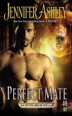 Perfect Mate (eBook, ePUB)