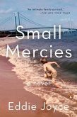 Small Mercies (eBook, ePUB)