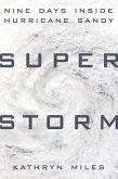 Superstorm (eBook, ePUB)