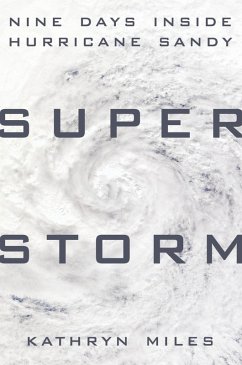 Cover Superstorm (eBook, ePUB)