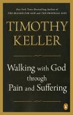Walking with God through Pain and Suffering (eBook, ePUB)