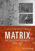 Matrix Metalloproteinase Biology (eBook, ePUB)