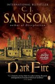 Dark Fire (eBook, ePUB)