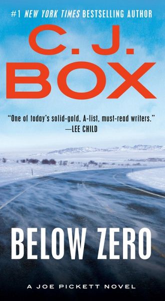Below Zero (eBook, ePUB)