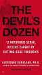 The Devil's Dozen (eBook, ePUB) - Bild 1