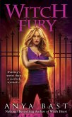 Witch Fury (eBook, ePUB)
