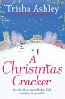 A Christmas Cracker (eBook, ePUB) - Bild 1