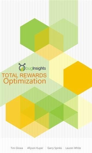 Total Rewards Optimization (eBook, ePUB) Total Rewards Optimization (eBook, ePUB)