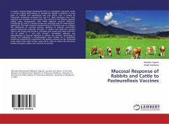 Mucosal Response of Rabbits and Cattle to Pasteurellosis Vaccines