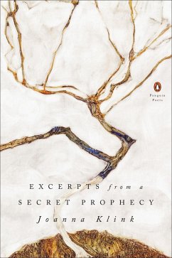 Excerpts from a Secret Prophecy (eBook, ePUB) - Klink, Joanna