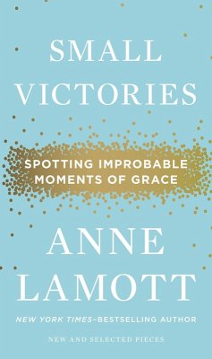 Small Victories (eBook, ePUB) - Lamott, Anne