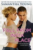 Fall From India Place (eBook, ePUB)