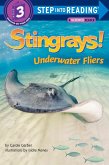 Stingrays! Underwater Fliers (eBook, ePUB) Stingrays! Underwater Fliers (eBook, ePUB)