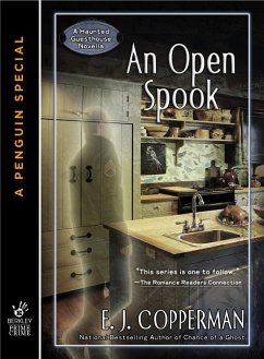 Cover An Open Spook (eBook, ePUB)