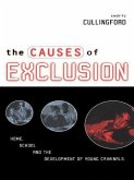 The Causes of Exclusion (eBook, PDF) The Causes of Exclusion (eBook, PDF)