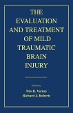 The Evaluation and Treatment of Mild Traumatic Brain Injury (eBook, PDF)