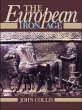 The European Iron Age (eBook, PDF) - Bild 1