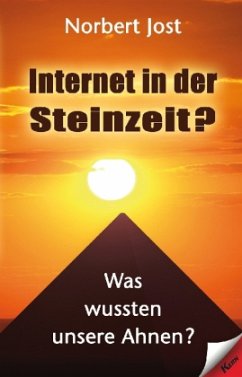 Internet in der Steinzeit? - Jost, Norbert