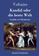 Kandid oder die beste Welt - Bild 1