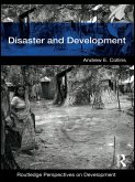 Disaster and Development (eBook, PDF)
