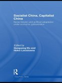 Socialist China, Capitalist China (eBook, PDF)