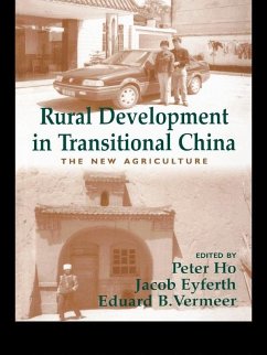 Cover Rural Development in Transitional China (eBook, PDF)