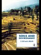 Soils and Environment (eBook, PDF) - Bild 1
