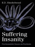 Suffering Insanity (eBook, PDF)