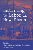 Learning to Labor in New Times (eBook, PDF)