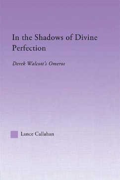 Cover In the Shadows of Divine Perfection (eBook, PDF)