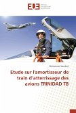 Etude sur l'amortisseur de train d'atterrissage des avions TRINIDAD TB