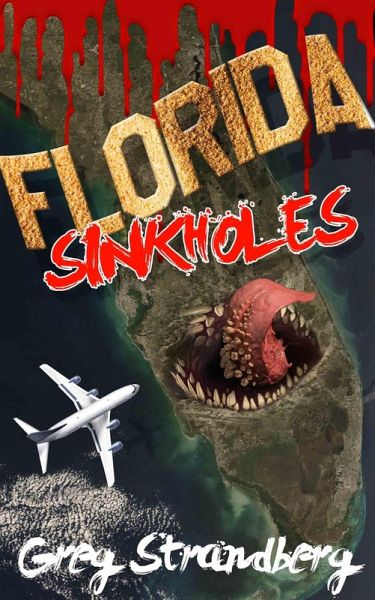 Florida Sinkholes (eBook, ePUB)